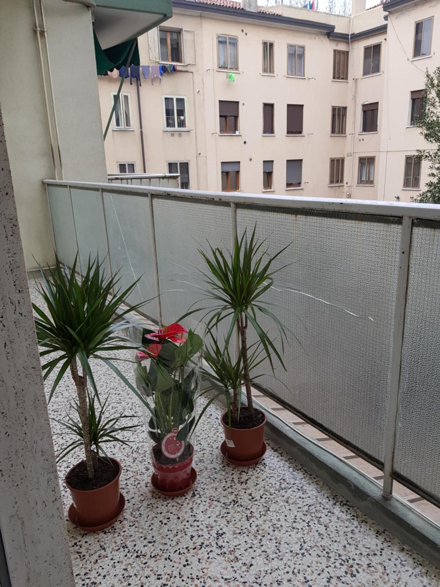 Venice Bnb ميستر المظهر الخارجي الصورة